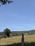 IMG_3959