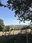 IMG_3957