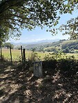 IMG_3956
