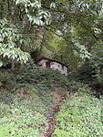 IMG_3937