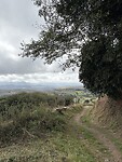 IMG_3936