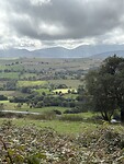 IMG_3934