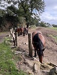 IMG_3928