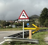 IMG_3918