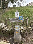 IMG_3906