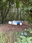 IMG_3894