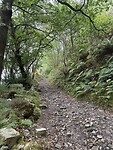 IMG_3892