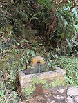 IMG_3888