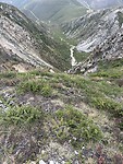 IMG_4135
