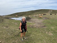 IMG_4119