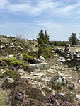IMG_4111