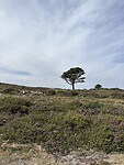 IMG_4101