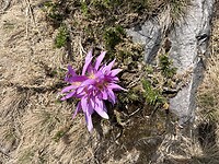 IMG_4100