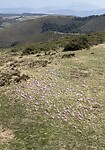 IMG_4097