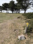 IMG_4095