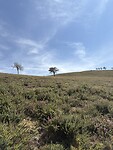 IMG_4073