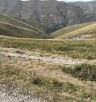 IMG_4071
