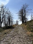 IMG_4061