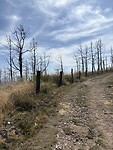 IMG_4050