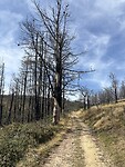 IMG_4043