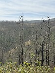 IMG_4042