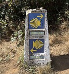IMG_4033