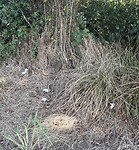 IMG_4027