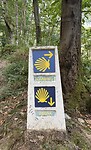 IMG_4016
