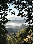 IMG_3994