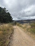 IMG_4171