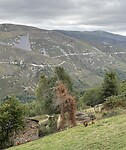 IMG_4164