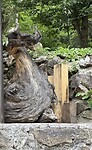 IMG_4163