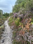 IMG_4154