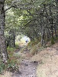 IMG_4152