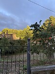 IMG_4204