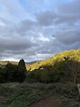 IMG_4203