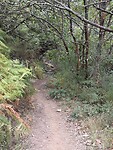 IMG_4287