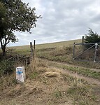 IMG_4235