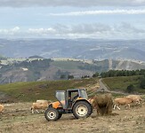 IMG_4230