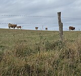 IMG_4214