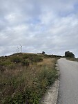 IMG_4213