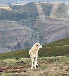 IMG_4228