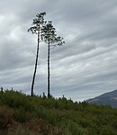IMG_4275