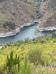 IMG_4277