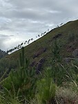 IMG_4279