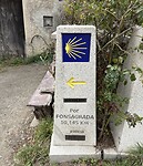 IMG_4454