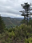 IMG_4449