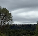 IMG_4452
