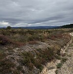 IMG_4450