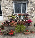 IMG_4441